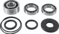 Picture of QuadBoss QBS Bearings - 412647