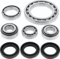 Picture of QuadBoss QBS Bearings - 413398