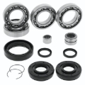 Picture of QuadBoss QBS Bearings - 414563