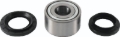 Picture of QuadBoss QBS Wheel Bearings - 415195