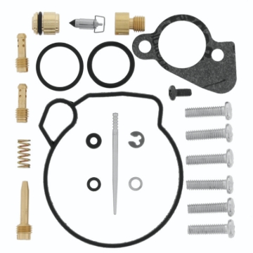 Picture of QuadBoss QBS Carburetor Kits - 418163