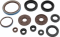 Picture of QuadBoss QBS Seals C Gasket Kits - 564644