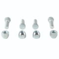 Picture of QuadBoss QBS Wheel Studs B - 608275