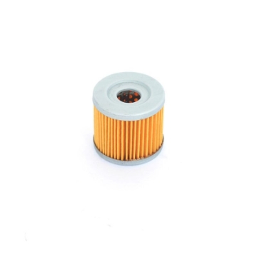 Picture of Athena ATH Oil Filters - FFC003