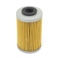 Picture of Athena ATH Oil Filters - FFC030