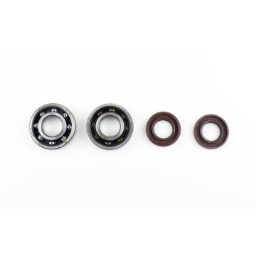 Picture of Athena ATH Bearing & Oil Seal Kits Oil Maintenance Kits - P400105444050