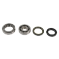 Picture of Athena ATH Main Bearing & Seal Kit Crankshaft Seals - P400210444202