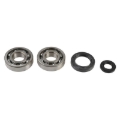 Picture of Athena ATH Main Bearing & Seal Kit Crankshaft Seals - P400210444270