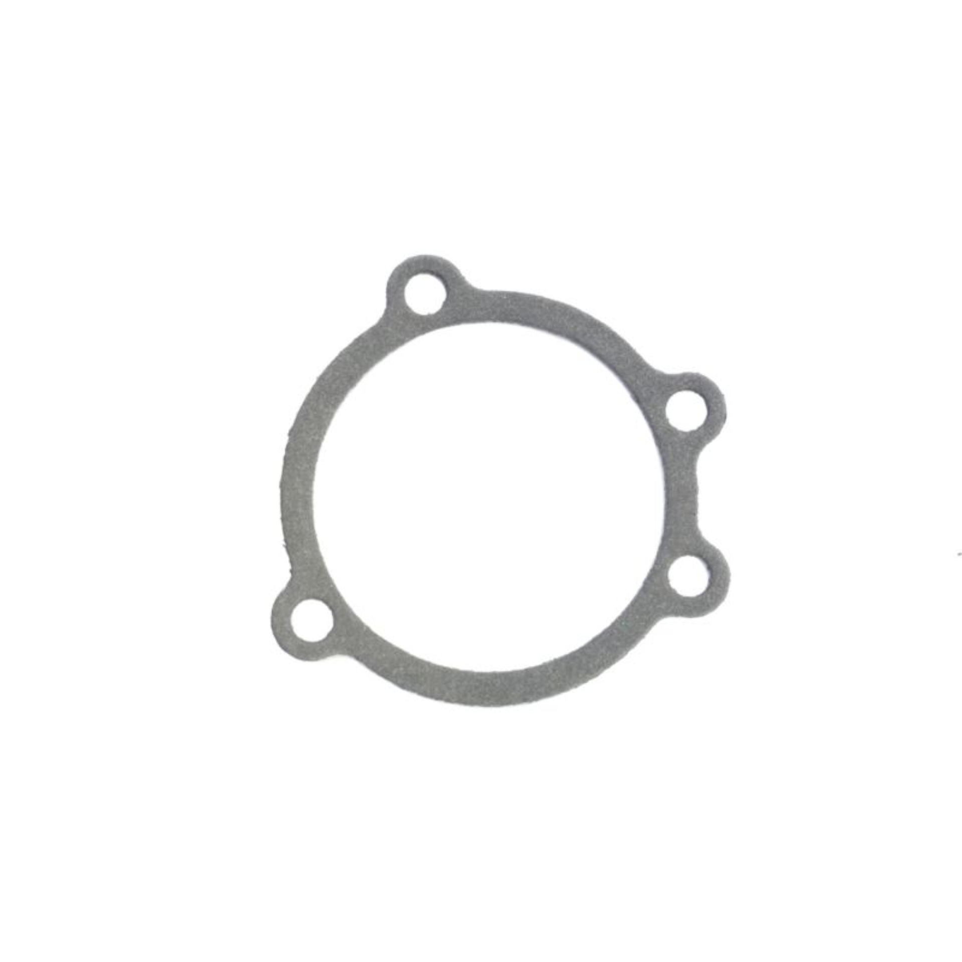 Picture of Athena ATH Misc Gaskets Gasket Kits - S410195093008