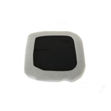 Picture of Athena ATH Air Filters - S410220200010