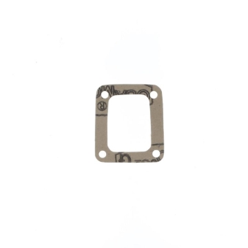 Picture of Athena ATH Intake Gaskets - S410420010003