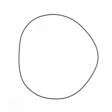 Picture of Athena ATH O-Rings - M751802625004