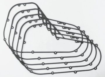 Picture of TwinPower TWP Primary Gasket Kits - 043251