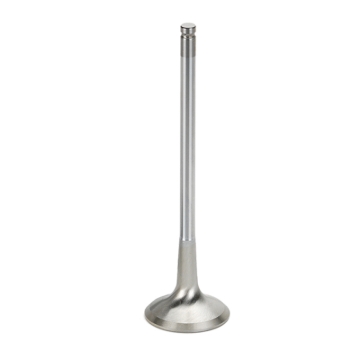 Picture of Supertech Honda S2000 F20C/K20 Inconel Exhaust Valve - +.5mm Oversize - Set of 8