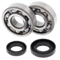 Picture of All Balls Racing 85-02 Honda CR80R Crank Shaft Bearing Kit