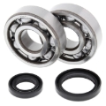 Picture of All Balls Racing 89-08 Suzuki RM125 Crank Shaft Bearing Kit