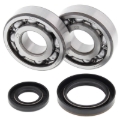 Picture of All Balls Racing 89-93 Suzuki RM250 Crank Shaft Bearing Kit