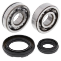 Picture of All Balls Racing 87-09 Yamaha YFZ350 Banshee Crank Shaft Bearing Kit