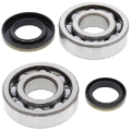 Picture of All Balls Racing 03-04 Suzuki RM250 Crank Shaft Bearing Kit