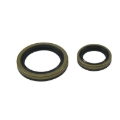 Picture of All Balls Racing 09-18 Beta EVO 4T 250 Crank Shaft Seal Only Kit