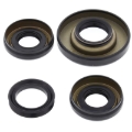 Picture of All Balls Racing 02-03 Honda TRX400FW Fourtrax Foreman 4x4 Differential Seal Only Kit Front