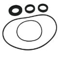Picture of All Balls Racing 00-02 Polaris Magnum 325 4x4 Differential Seal Only Kit Front