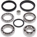 Picture of All Balls Racing 14-17 Arctic Cat 700 Mudpro LTD Differential Bearing & Seal Kit Rear