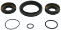 Picture of All Balls Racing 15-19 Honda TRX500FA Differential Seal Only Kit Front