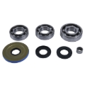 Picture of All Balls Racing 2016 Can-Am Defender 800 Differential Bearing & Seal Kit Front