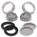 Picture of All Balls Racing 06-09 Arctic Cat 250 2x4 Swing Arm Bearing Kit