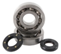 Picture of Hot Rods 02-07 Kawasaki KX 250 250cc Main Bearing & Seal Kit