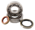 Picture of Hot Rods 03-04 KTM 250 SXS 250cc Main Bearing & Seal Kit