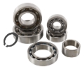 Picture of Hot Rods 05-21 Kawasaki KX 100 100cc Transmission Bearing Kit