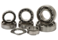Picture of Hot Rods 06-09 Yamaha YZ 450 F 450cc Transmission Bearing Kit