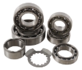 Picture of Hot Rods 06-09/11-21 Yamaha YFM 700 R Raptor 700cc Transmission Bearing Kit