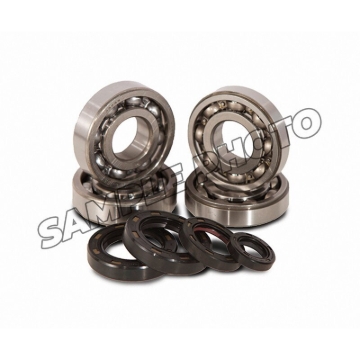 Picture of Hot Rods 12-16 KTM 450 XC-W 450cc Main Bearing & Seal Kit