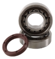 Picture of Hot Rods 2012 KTM 250 SX-F 250cc Main Bearing & Seal Kit