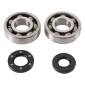 Picture of Hot Rods 87-01 Kawasaki KX 250 250cc Main Bearing & Seal Kit