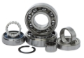 Picture of Hot Rods 94-04 Kawasaki KX 250 250cc Transmission Bearing Kit