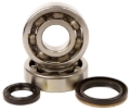 Picture of Hot Rods 95-98 Suzuki RMX 250 250cc Main Bearing & Seal Kit