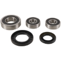 Picture of Pivot Works 04-05 Kawasaki KLV1000 (Euro) Rear Wheel Bearing Kit
