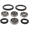 Picture of Pivot Works 88-02 Yamaha YFS200 Blaster Front Wheel Bearing Kit