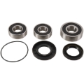 Picture of Pivot Works 04-07 Honda CBF500 (Euro) Rear Wheel Bearing Kit