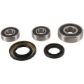Picture of Pivot Works 95-04 Suzuki GSF600S Bandit Rear Wheel Bearing Kit
