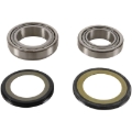 Picture of Pivot Works 80-85 Yamaha YT1-125 Steering Stem Bearing Kit