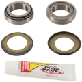 Picture of Pivot Works 10-13 Honda CRF250R Steering Stem Bearing Kit