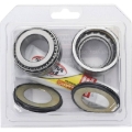 Picture of Pivot Works 19-23 Honda CRF110F Steering Stem Bearing Kit