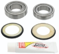 Picture of Pivot Works 95-97 Honda CR125R Steering Stem Bearing Kit