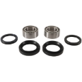 Picture of Pivot Works 04-07 Honda TRX400FA Front Wheel Bearing Kit
