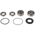 Picture of Pivot Works 03-09 Honda VTX1300 Rear Wheel Bearing Kit